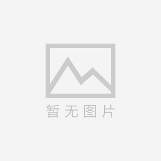 抗震支架会被替代么